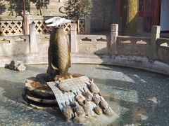 -西安大兴善寺