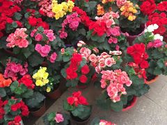 -乡乐园蟹庄·阳澄湖农家乐