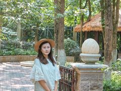 -绿城千岛湖喜来登度假酒店