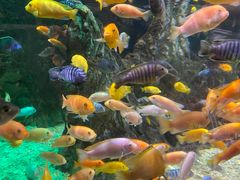 -太平洋海底世界