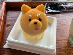 柴犬蛋糕-柴犬高等学院·狗咖·柴犬售卖·宠物训练