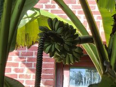 -浙江大学(之江校区)