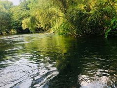 -贵阳市花溪国家城市湿地公园