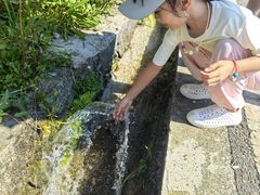 -太阳湾风景区