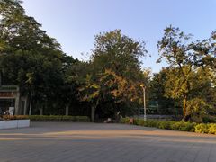 -荔湾湖公园