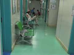 -北京观赏动物医院·24小时大型综合·猫专科·异宠专科