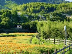 -莫干山风景区