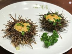 海胆蒸蛋-赶海部落海鲜城(海阳路店)