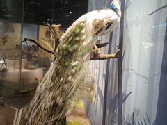 -陕西自然博物馆