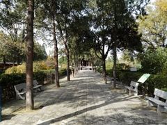 -司马温公祠