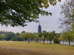 -上海方塔园