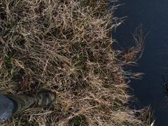 腾冲北海湿地保护区-腾冲北海湿地