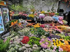 -双季花艺园艺市场(浦东店)