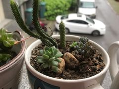 -联合口腔(西环诊所)