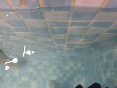 -阳光游泳培训(北苑店)