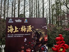 -上海海湾国家森林公园