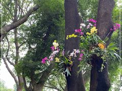 -人民公园(罗湖区)