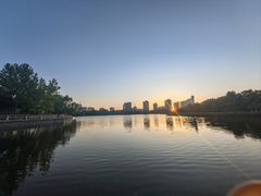 -莲花池公园