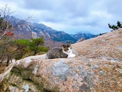 -崂山巨峰游览区