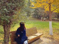 -长白岛森林公园