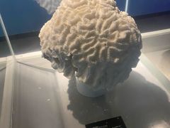 -泉城欧乐堡海洋极地世界
