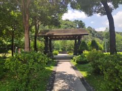 -王借岗森林公园