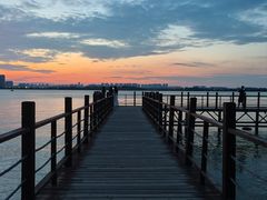 -瑶湖郊野森林公园