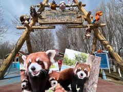 -水上乐园·欢乐世界