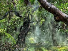 -Chom Cafe and Restaurant