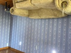 -金山农民画村-枫泾波兰倒置屋