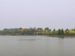 -东郊湿地公园