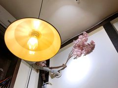 -金龙咖喱