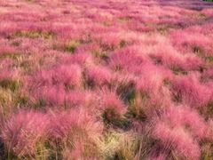 -嘉北郊野公园