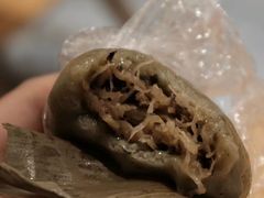-海丝金凤(金鱼店)