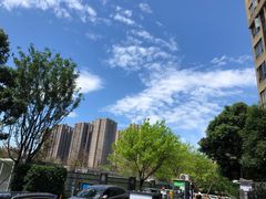 -龙头寺公园
