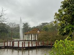 -中国科学院西双版纳热带植物园