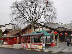 -后柳水乡