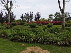 -飞来湖湿地公园