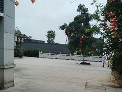 -洋湖国家湿地公园