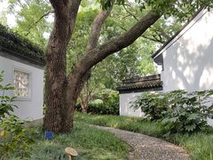 -上海醉白池公园