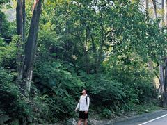 -火炉山森林公园