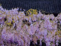 -老门东历史文化街区