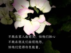 -曼朗心理咨询·旗舰店