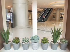 -香港ELEMENTS圆方