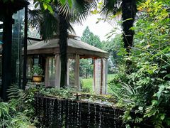 -野蔓果·山野菜(西湖景区·龙井茶田店)