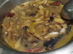 -蘑统田下·野生菌火锅