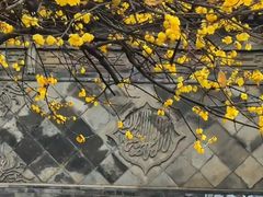-西安化觉巷清真大寺