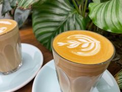 -Seesaw Coffee(深圳万象天地店)