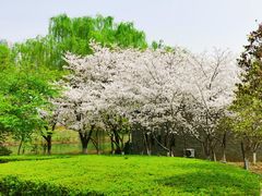 -白塘生态植物园