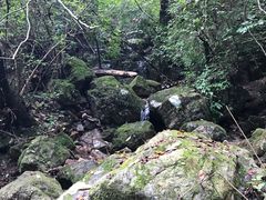 -九龙潭景区